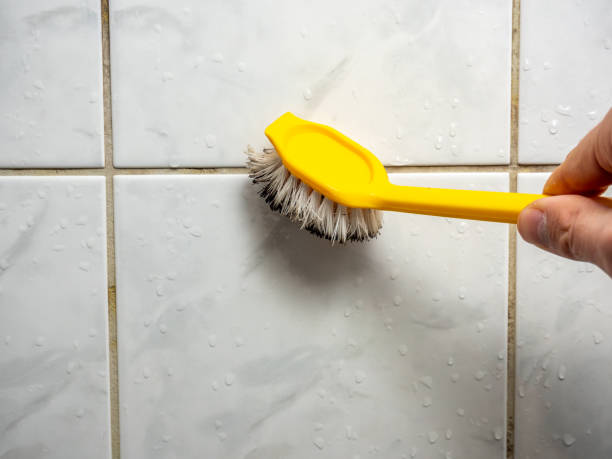Best Best Mold Removal Companies  in Tekamah, NE