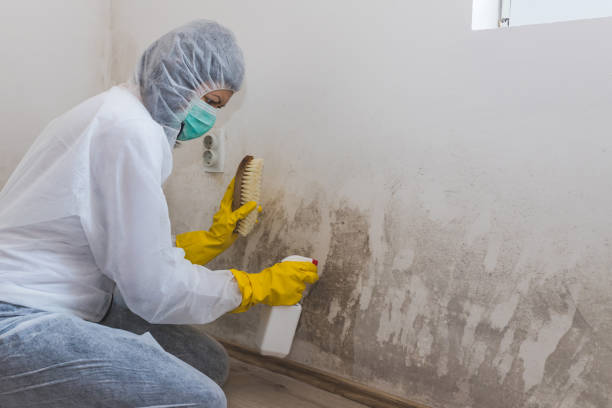 Crawl Space Mold Removal in Tekamah, NE